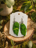 Pair Of Leaves